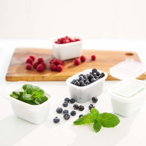 Rotho Freeze zestaw pojemników do mrożenia 3 x 1l Rotho Freeze zestaw pojemników do mrożenia 3 x 1l
