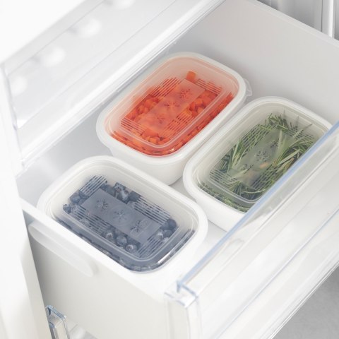 Rotho Freeze zestaw pojemników do mrożenia 3 x 1l Rotho Freeze zestaw pojemników do mrożenia 3 x 1l