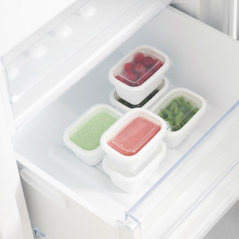 Rotho Freeze zestaw pojemników do mrożenia 6 x 0,25l Rotho Freeze zestaw pojemników do mrożenia 6 x 0,25l