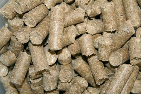 KERBL Smakołyki dla konia Delizia Classic, banan, 1 kg KERBL Smakołyki dla konia Delizia Classic, banan, 1 kg