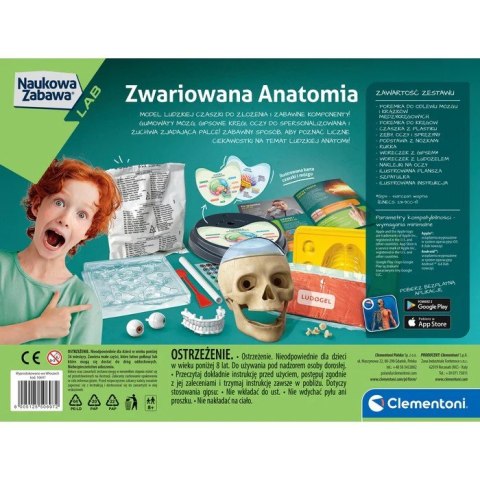 Zestaw edukacyjny Zwariowana Anatomia Zestaw edukacyjny Zwariowana Anatomia