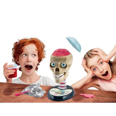 Zestaw edukacyjny Zwariowana Anatomia Zestaw edukacyjny Zwariowana Anatomia