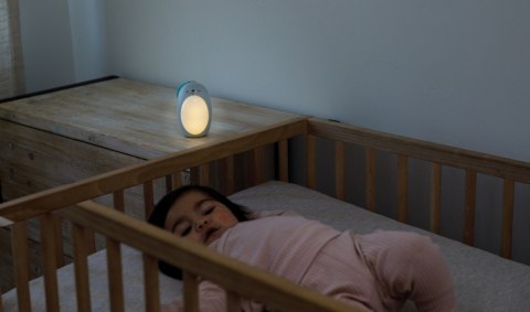 Lampka nocna Infantino 3w1 - Foka Lampka nocna Infantino 3w1 - Foka