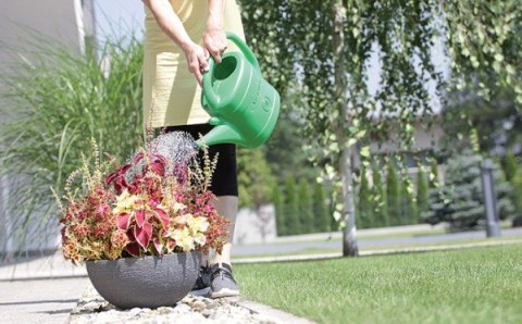 KONEWKA PLASTIKOWA 10L SPRING - ZIELONY KONEWKA PLASTIKOWA 10L SPRING - ZIELONY