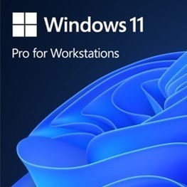 OEM Win Pro for Wrkstns 11 PL x64 HZV-00117 OEM Win Pro for Wrkstns 11 PL x64 HZV-00117