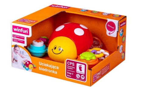 Biedronka Dogonię Cię Biedroneczko Biedronka Dogonię Cię Biedroneczko