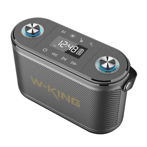 Głośnik bezprzewodowy Bluetooth W-KING H10 S 80W + mikrofon (czarny) Głośnik bezprzewodowy Bluetooth W-KING H10 S 80W + mikrofon (czarny)